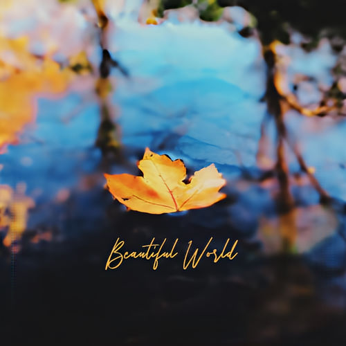 Drakeford, song titled, Beautiful World