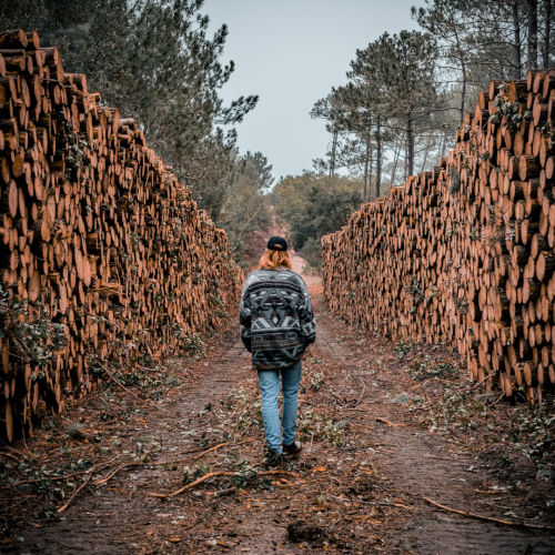 Alex Rv Phillips, Album Titled, All Up From Here