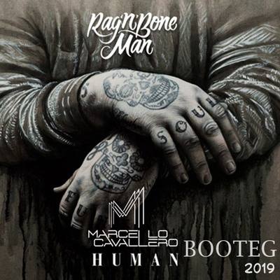 Rag'n'Bone Man, song titled, Human