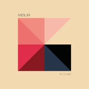 Meilir Tomos, CD titled, In Tune