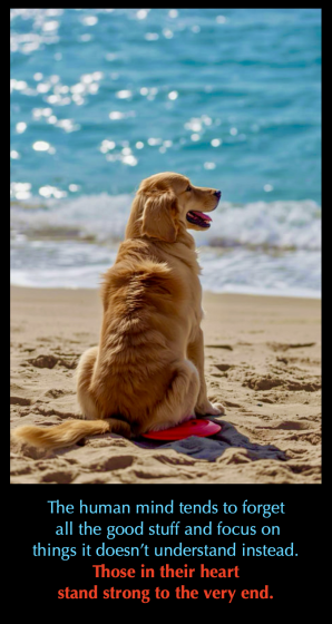 For the People Meme 1