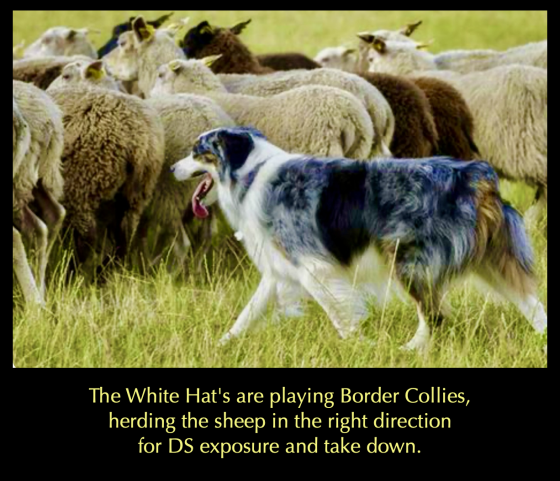 For the People Meme 2