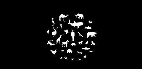 Humans Seem To Be The Problem - Or So They Would Have Us Believe