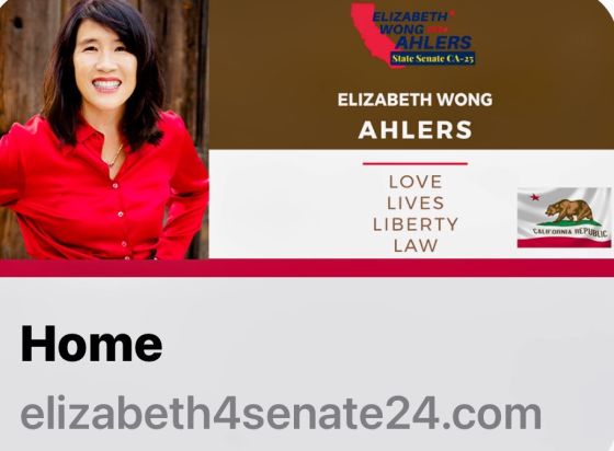 Guest, Elizabeth Wong Ahlers, PhD Candidate for CA 25 State Senate Seat Website