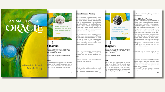 Oracle Animal Communication Book