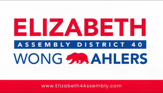 Elizabeth Ahlers Assembly Banner