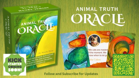 Oracle Animal Communication Kickstarter