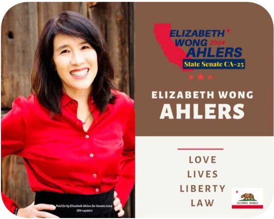 A State Senatorial Candidate - District 25, Elizabeth Ahlers