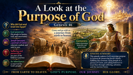 A Look At The Purpose Of God