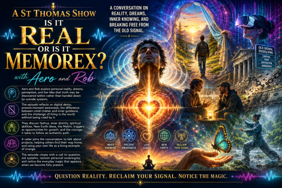 Is It REAL or Is It MEMOREX?