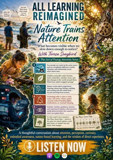 Nature Trains Attention
