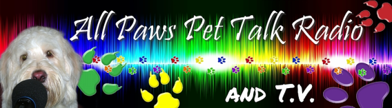 All Paws Pet Talk Radio and TV