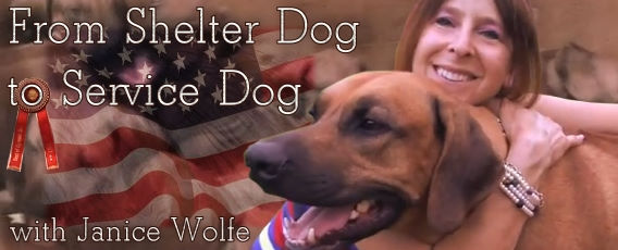 From Shelter Dog to Service Dog with Janice Wolfe