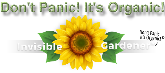Don’t Panic It’s Organic with andy Lopez aka Invisible Gardener