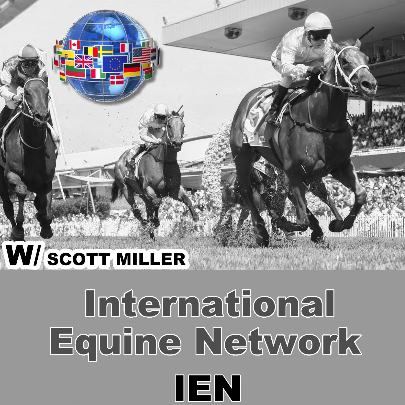 International Equine Network