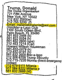 Epstein Melania Entries