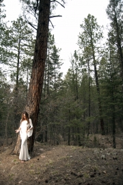 Kimberly Webber forest white magic photograph by Missy Wolf