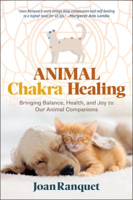 Bringing Balance, Health, and Joy to Our Animal Companions