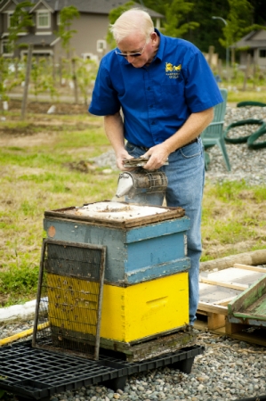 Mike Campbell, Teacher, Beekeeper, Honey Wine Hobbiest, Bee Researcher, Mead Producer, Apiarist and Honey Farm Co-Owner