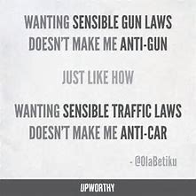 Sensible Gun Laws