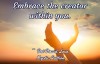 Universal Soul Love Quote - Embrace the creator within you!
