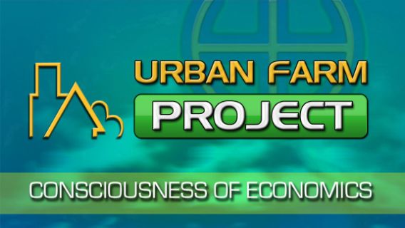 The Urban Farm Project 