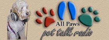 All Paws Pet Talk