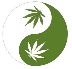Certified Cannabis Educator and Practitioner