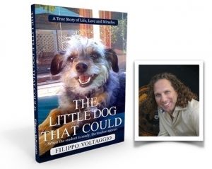 The Little Dog That Could by Filippo Voltaggio