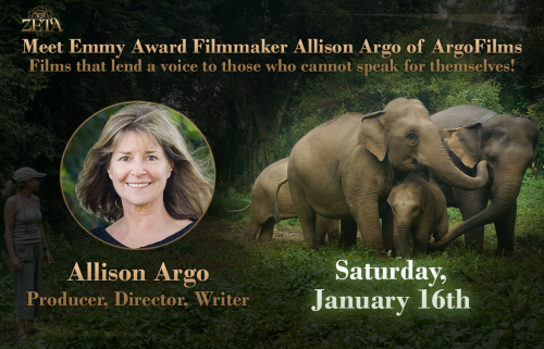 Award Winning Filmmaker Alison Argo Lights up the ZGR Airwaves