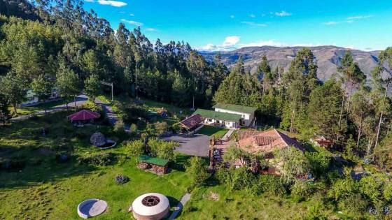 Gaia Sagrada, Shamanic Retreats with Ayahuasca & San Pedro 