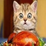 Self defense, home alone, radical islamic terrorist, 