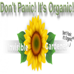 Don't Panic It's Organic with andy Lopez, aka: The Invisible Gardener