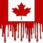 A Call to the Truck Convoy in Canada:   $10,000 Reward is offered for the Arrest of convicted felons Justin Trudeau and Governor General Mary Simon