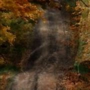 Sasha Talks with Sasha Laghonh