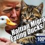 Haitian Migrants Eating Ducks and Cats, ABC Bias