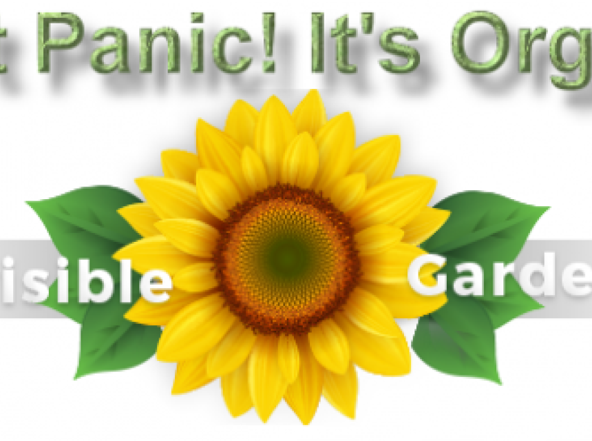 Don't Panic It's Organic with andy Lopez, aka: The Invisible Gardener