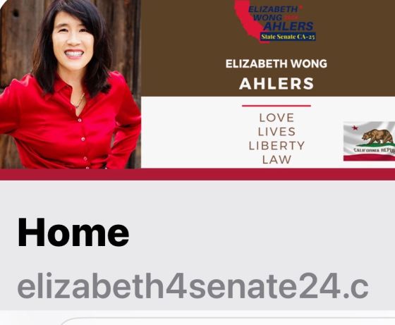  Elizabeth Ahlers CA Senate Seat #25 Republican Candidate