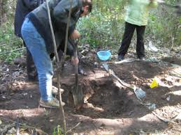 Mohawk elder Bill Squire and ITCCS members dig for childrens' remains at Brantford Anglican Indian school, 2011